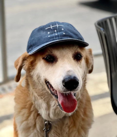 Bessou Indigo Blue Hat